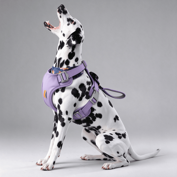 2-in-1 Retractable Dog Harness Leash - No-Pull, Auto-Lock, Strong Aluminum Buckle
