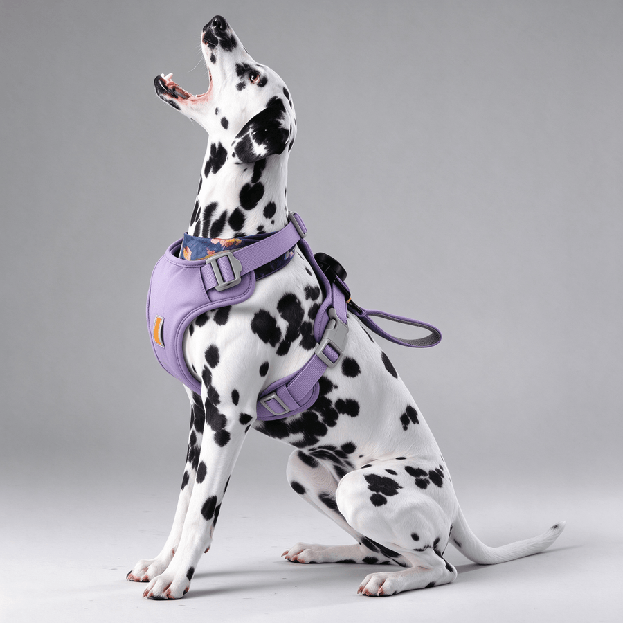 2-in-1 Retractable Dog Harness Leash - No-Pull, Auto-Lock, Strong Aluminum Buckle