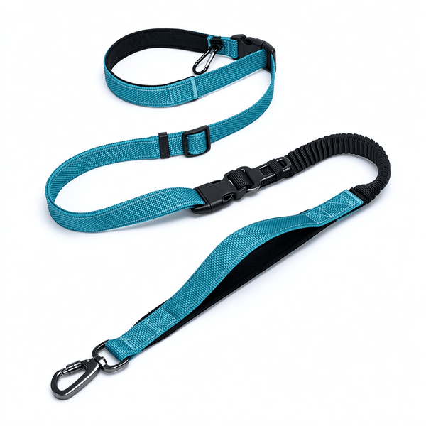 Hands-Free Reflective Bungee Dog Leash – 6-in-1 Waist Leash