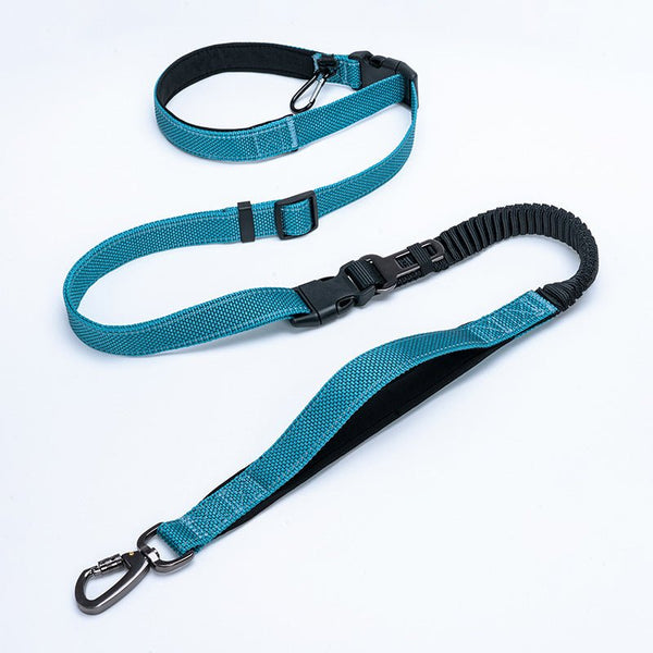 6-in-1 Hands-Free Dog Leash, Reflective Bungee Waist Leash – Fluffy Me