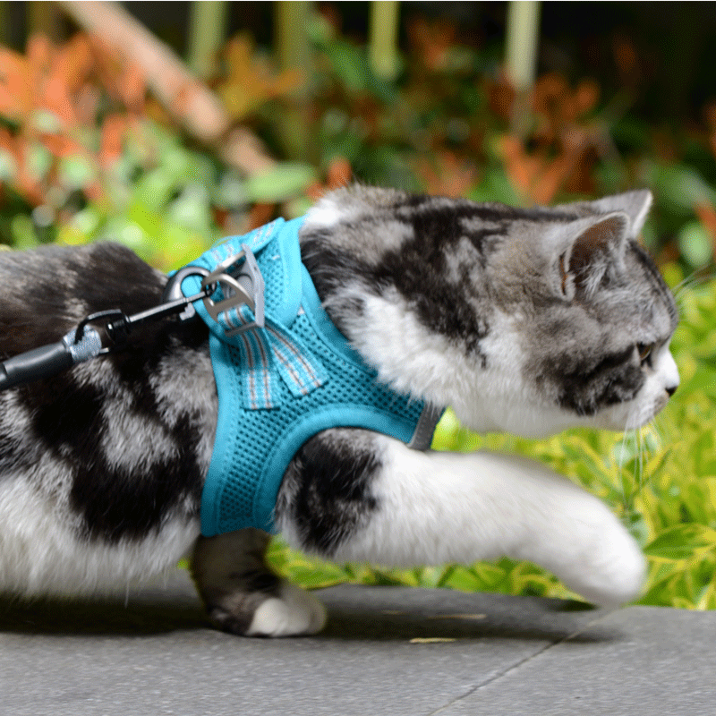 Breathable Mesh Cat Harness and Leash Set, No-Choke Reflective Vest