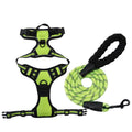 Pet Camping Bundle: Foldable Sleeping Mat, Reflective Harness, Travel Bowl & Poop Bags