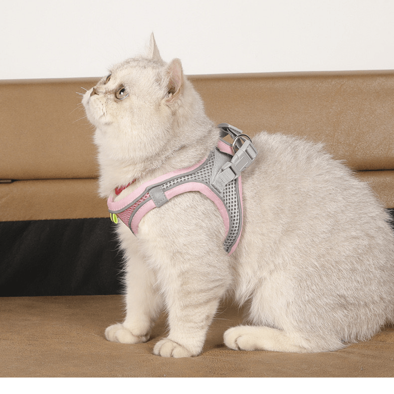 360° No-Choke Cat Harness and Leash Set, Reflective Quick-Release Vest