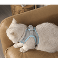 360° No-Choke Cat Harness and Leash Set, Reflective Quick-Release Vest