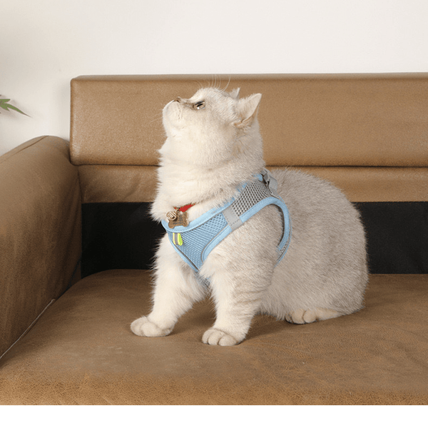 360° No-Choke Cat Harness and Leash Set, Reflective Quick-Release Vest