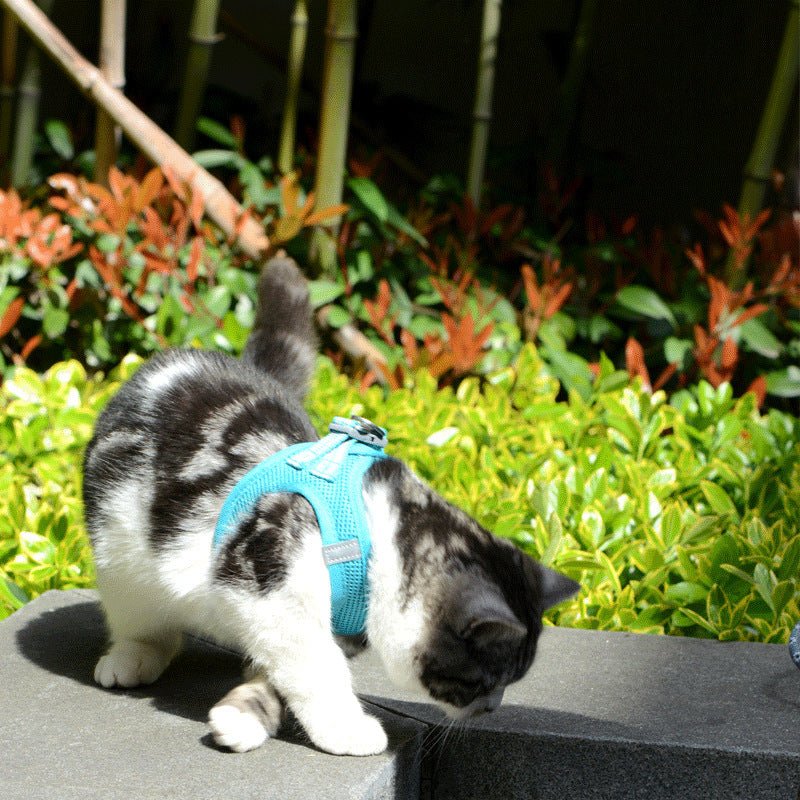 Breathable Mesh Cat Harness and Leash Set, No-Choke Reflective Vest