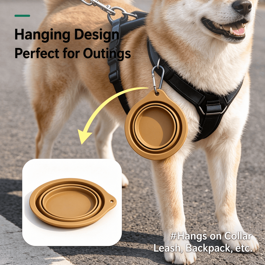Collapsible Dog Bowl, Portable Silicone Pet Travel Bowl with Carabiner for Walking, Hiking & Camping