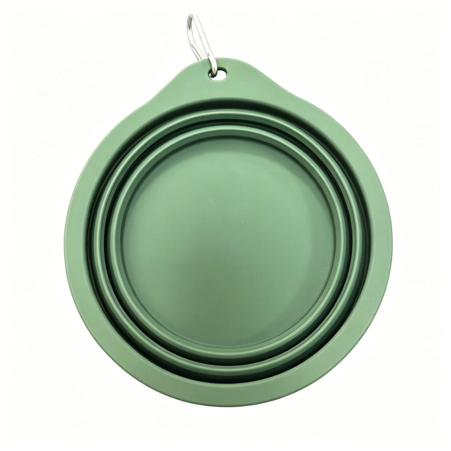 Collapsible Dog Bowl, Portable Silicone Pet Travel Bowl with Carabiner for Walking, Hiking & Camping