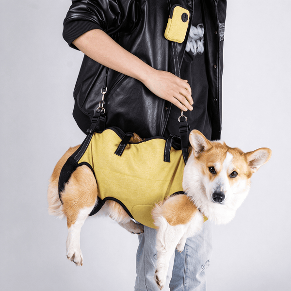 Dog Assistance Sling, Pet Rehabilitation Harness with Full Back and Chest Support, 4-in-1 Carry, Traction and Lift Sling for Small Medium Dogs