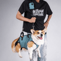 Dog Assistance Sling, Pet Rehabilitation Harness with Full Back and Chest Support, 4-in-1 Carry, Traction and Lift Sling for Small Medium Dogs
