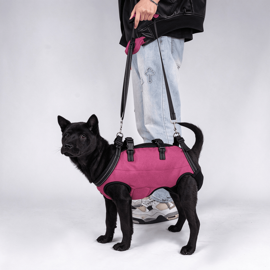 Dog Assistance Sling, Pet Rehabilitation Harness with Full Back and Chest Support, 4-in-1 Carry, Traction and Lift Sling for Small Medium Dogs