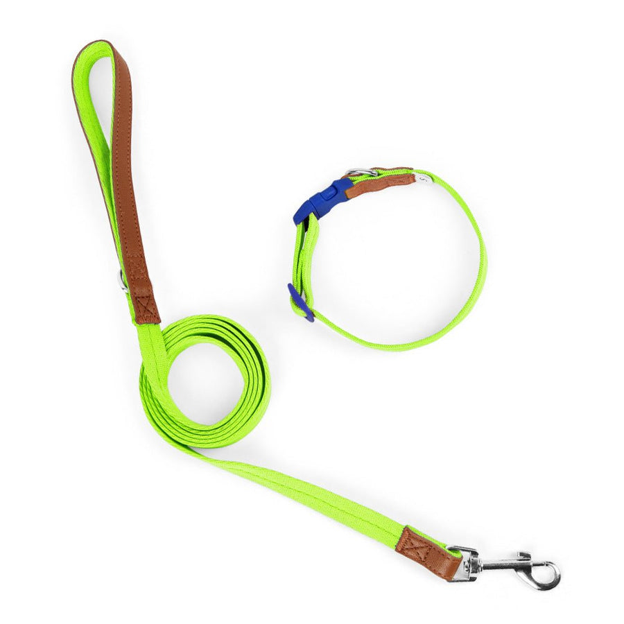 Dog Collar and Leash Set, Nylon Walking Set with Quick-Release Buckle and Leather Handle, Adjustable Collar for Small Medium Dogs, 5 ft Leash