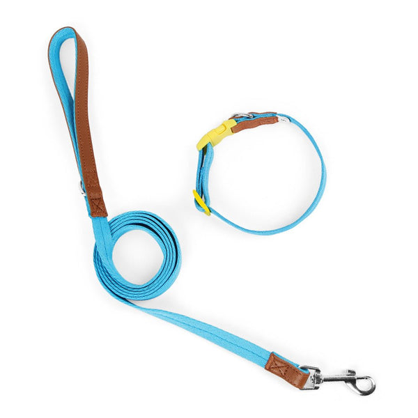 Dog Collar and Leash Set, Nylon Walking Set with Quick-Release Buckle and Leather Handle, Adjustable Collar for Small Medium Dogs, 5 ft Leash
