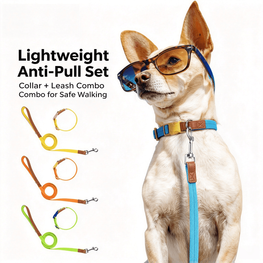 Dog Collar and Leash Set, Nylon Walking Set with Quick-Release Buckle and Leather Handle, Adjustable Collar for Small Medium Dogs, 5 ft Leash