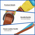 Dog Collar and Leash Set, Nylon Walking Set with Quick-Release Buckle and Leather Handle, Adjustable Collar for Small Medium Dogs, 5 ft Leash