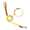 Dog Collar and Leash Set, Nylon Walking Set with Quick-Release Buckle and Leather Handle, Adjustable Collar for Small Medium Dogs, 5 ft Leash