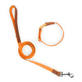 Dog Collar and Leash Set, Nylon Walking Set with Quick-Release Buckle and Leather Handle, Adjustable Collar for Small Medium Dogs, 5 ft Leash