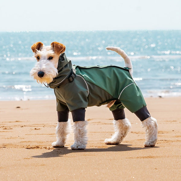 Dog Raincoat, Waterproof Four-Legged Dog Jacket with Reflective Trim & Harness Hole for Outdoor Walking, Hiking & Travel