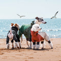 Dog Raincoat Waterproof Four-Legged, Reflective Trim & Harness Hole Jacket for Walking Hiking Travel