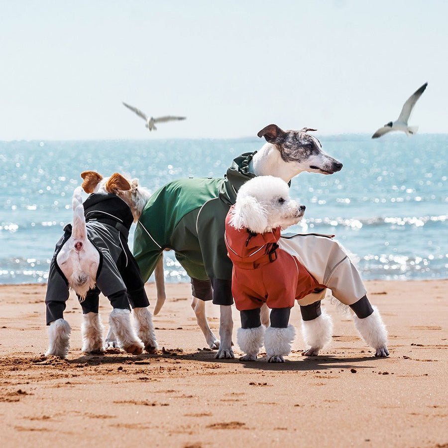 Dog Raincoat Waterproof Four-Legged, Reflective Trim & Harness Hole Jacket for Walking Hiking Travel