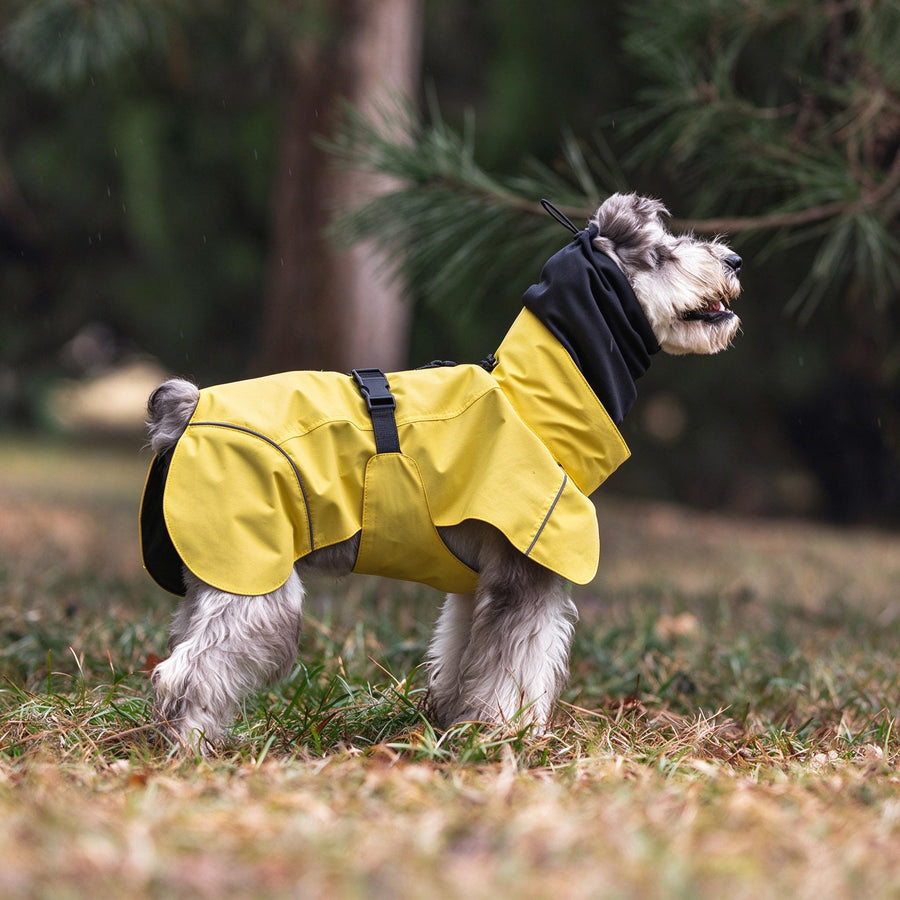 Waterproof Dog Raincoat, Windproof Quick-Drying Outdoor Walking Jacket
