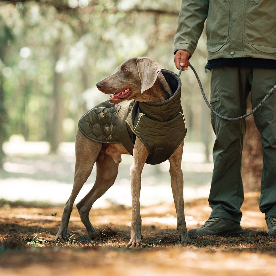 Dog Winter Coat, Warm Padded Dog Jacket with Reflective Trim & Adjustable Belly Strap for Cold Weather Walking