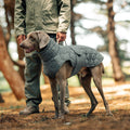 Dog Winter Coat, Warm Padded Dog Jacket with Reflective Trim & Adjustable Belly Strap for Cold Weather Walking