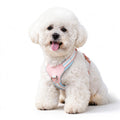 Escape-Proof DogHarness & Leash Set — Neck-Friendly, For Cats & Small Dogs