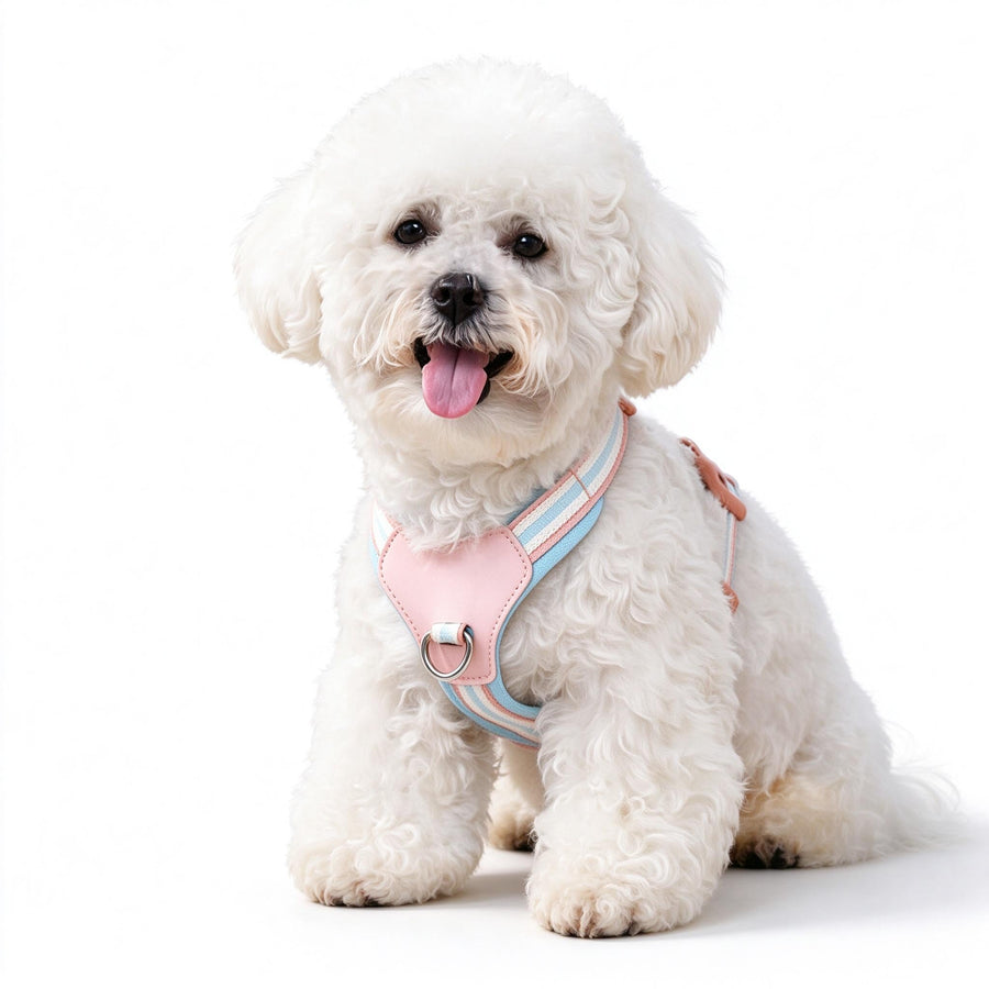 Escape-Proof DogHarness & Leash Set — Neck-Friendly, For Cats & Small Dogs