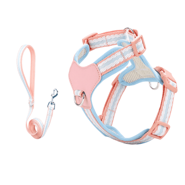 Escape-Proof DogHarness & Leash Set — Neck-Friendly, For Cats & Small Dogs