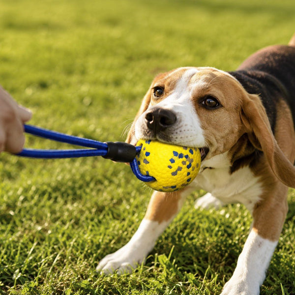 ETPU Dog Ball with Rope, High-Rebound Tug & Fetch Training Toy