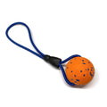 ETPU Dog Ball with Rope, High-Rebound Tug & Fetch Training Toy