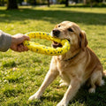 ETPU Floating Ring Dog Toy, Bite-Resistant Tug & Fetch Chew Ring