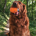 ETPU Rugby Dog Toy, High-Rebound Floating Fetch & Water Chew Toy