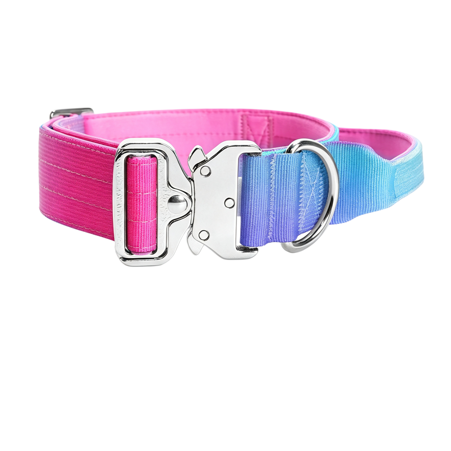 Gradient Tactical Dog Collar with Handle, Padded Training Collar
