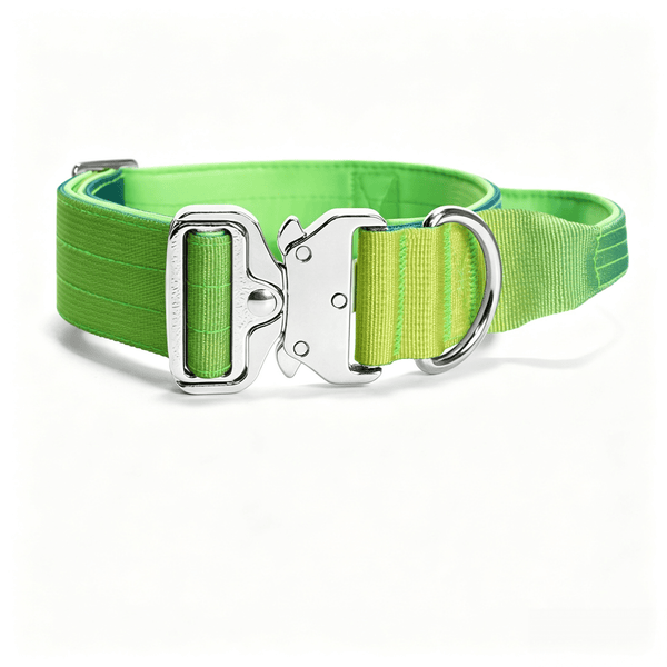 Gradient Tactical Dog Collar with Handle, Padded Training Collar