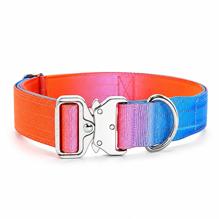 Gradient Tactical Dog Collar with Handle, Padded Training Collar