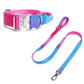 Gradient Dog Collar and Leash Set, Soft Handle Daily Walk Set