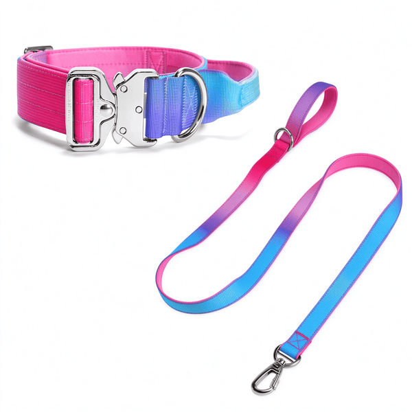 Gradient Dog Collar and Leash Set, Soft Handle Daily Walk Set