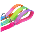 Gradient Dog Collar and Leash Set, Soft Handle Daily Walk Set
