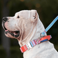 Gradient Dog Collar and Leash Set, Soft Handle Daily Walk Set