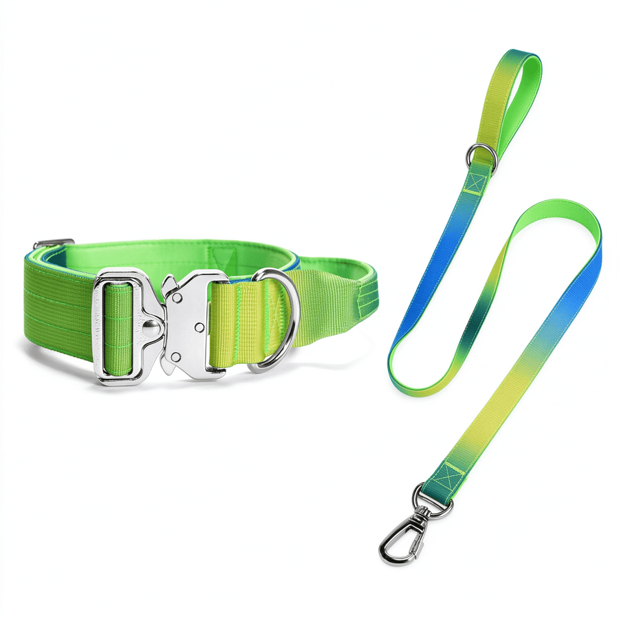 Gradient Dog Collar and Leash Set, Soft Handle Daily Walk Set