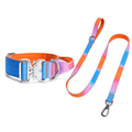 Gradient Dog Collar and Leash Set, Soft Handle Daily Walk Set