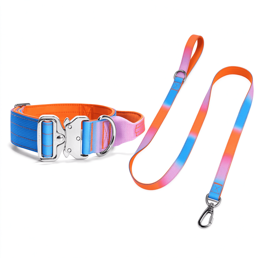 Gradient Dog Collar and Leash Set, Soft Handle Daily Walk Set