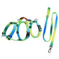 Fashion Gradient Dog Harness & Leash Set - Pink, Purple, Orange, Green, Blue M-XL
