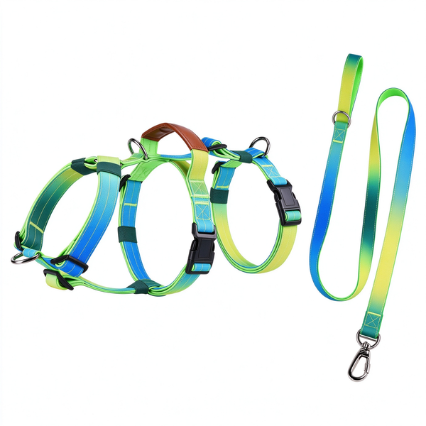Fashion Gradient Dog Harness & Leash Set - Pink, Purple, Orange, Green, Blue M-XL