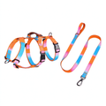 Fashion Gradient Dog Harness & Leash Set - Pink, Purple, Orange, Green, Blue M-XL