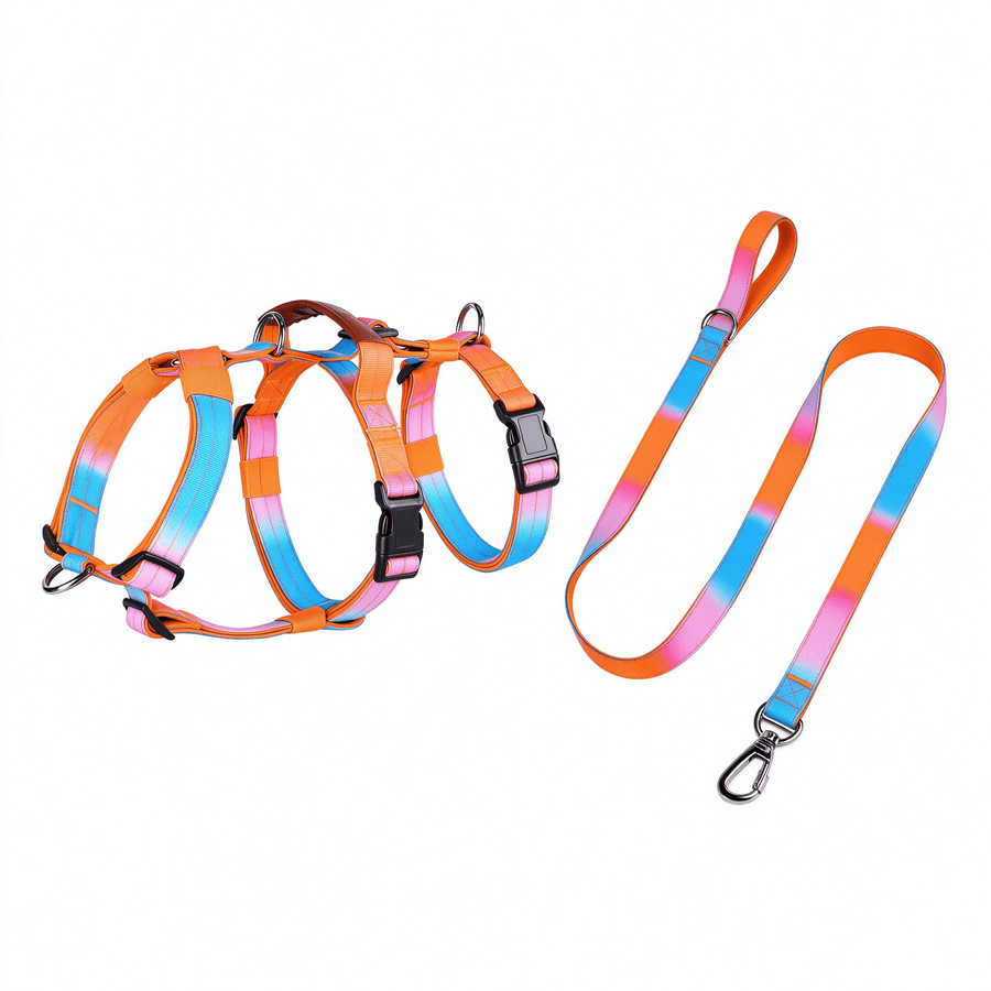 Fashion Gradient Dog Harness & Leash Set - Pink, Purple, Orange, Green, Blue M-XL