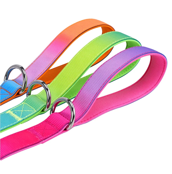Fashion Gradient Dog Harness & Leash Set - Pink, Purple, Orange, Green, Blue M-XL
