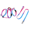 Fashion Gradient Dog Harness & Leash Set - Pink, Purple, Orange, Green, Blue M-XL